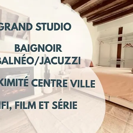 Charming With Private And A Unique Setting Vienne (Isere)