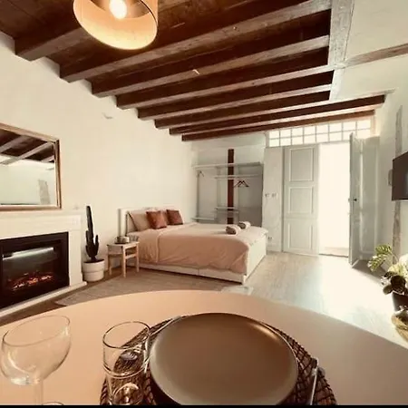 Charming With Private And A Unique Setting Appartement Vienne (Isere)