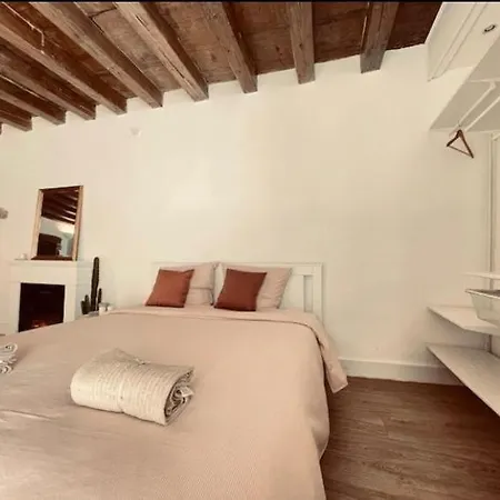 Charming With Private And A Unique Setting Appartement Vienne (Isere)
